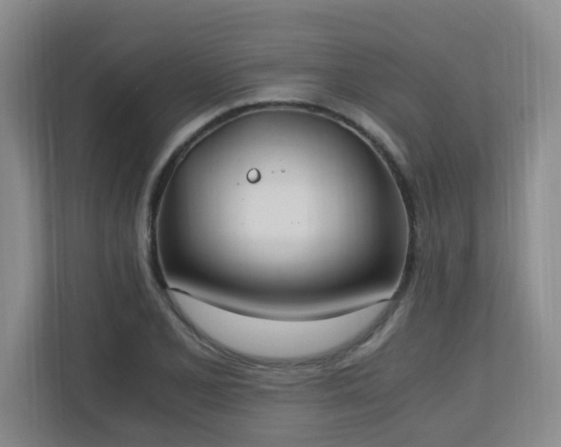 X0000110691077200906121221