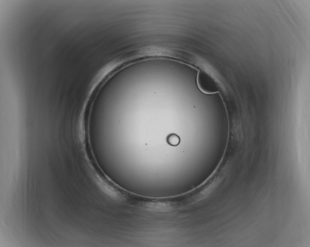 X0000110691082200906121221