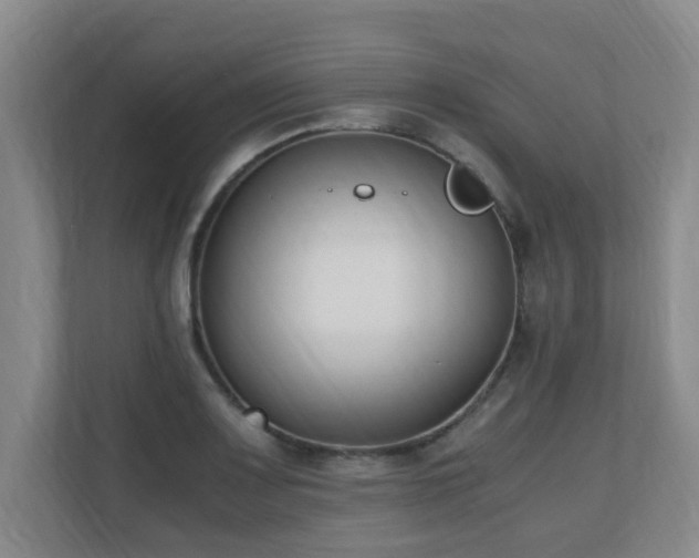 X0000110691083200906121221