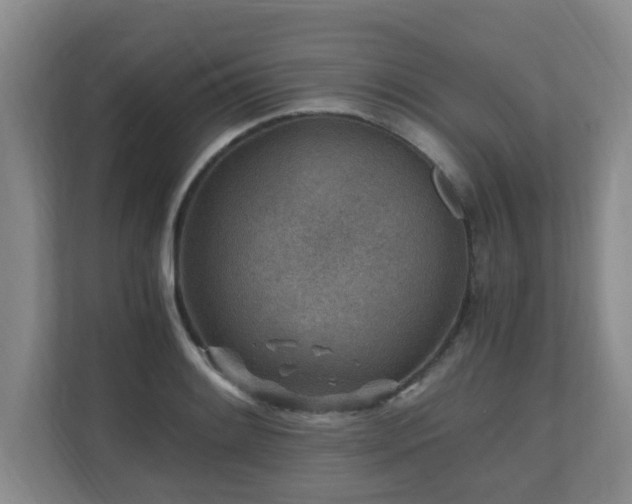 X0000110691084200906121221