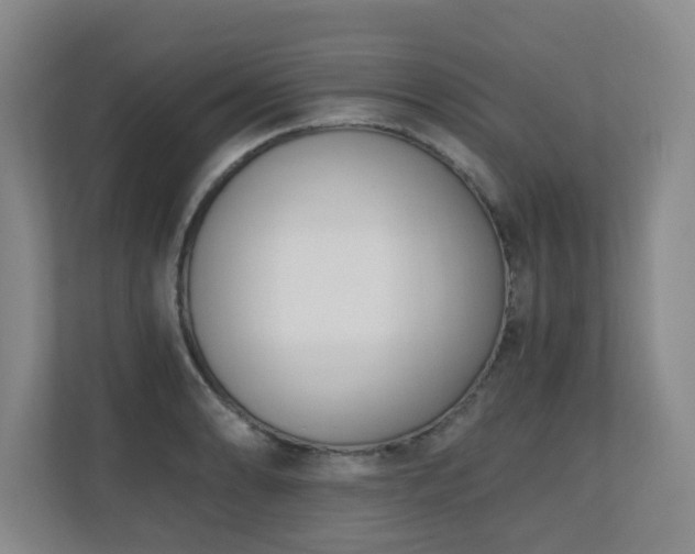 X0000110691086200906121221