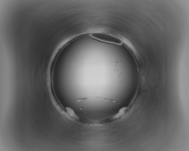 X0000110691088200906121221