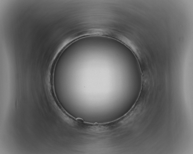 X0000110691091200906121221