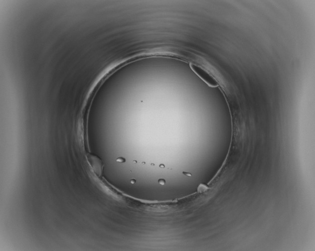 X0000110691092200906121221