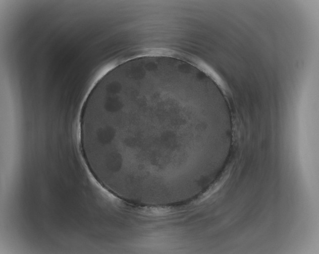 X0000110691095200906121221