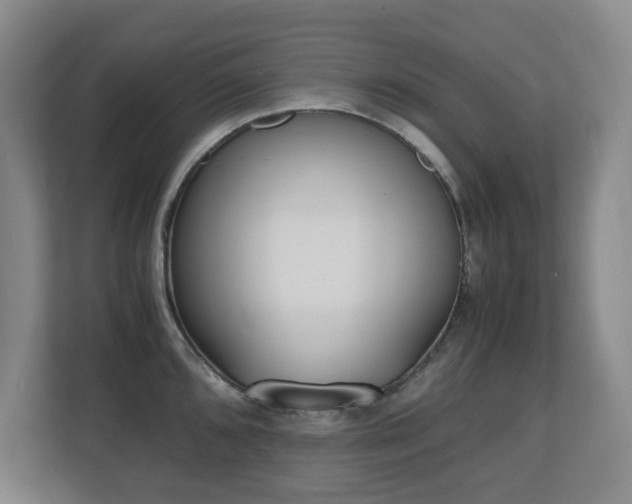 X0000110691096200906121221