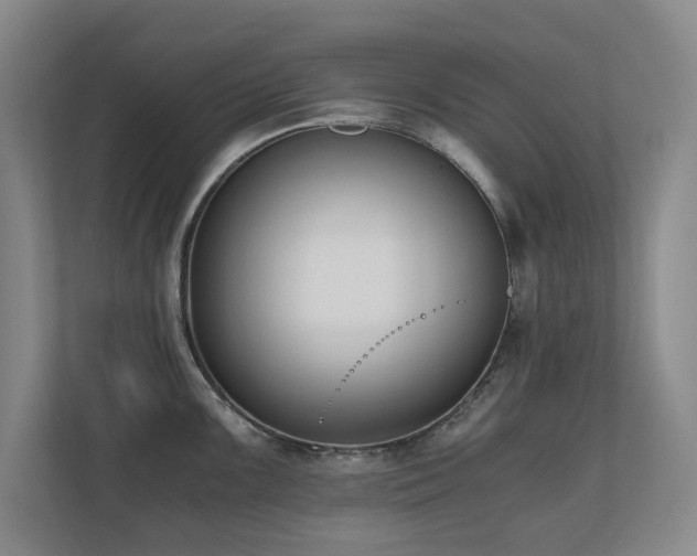 X0000110691099200906121221