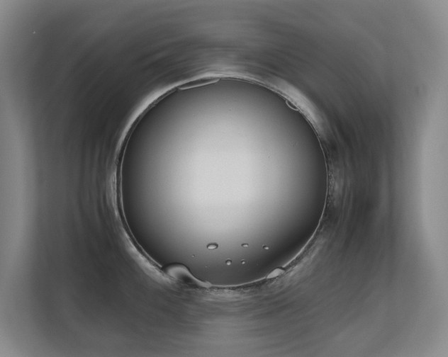 X0000110691100200906121221