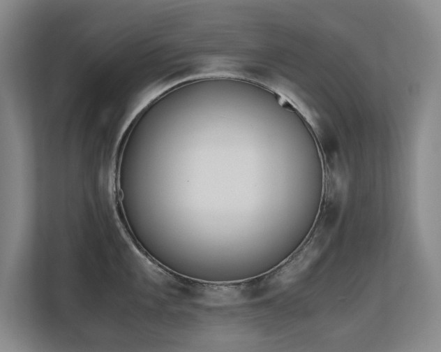 X0000110691101200906121221