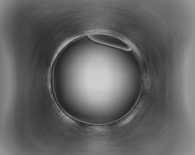 X0000110691102200906121221