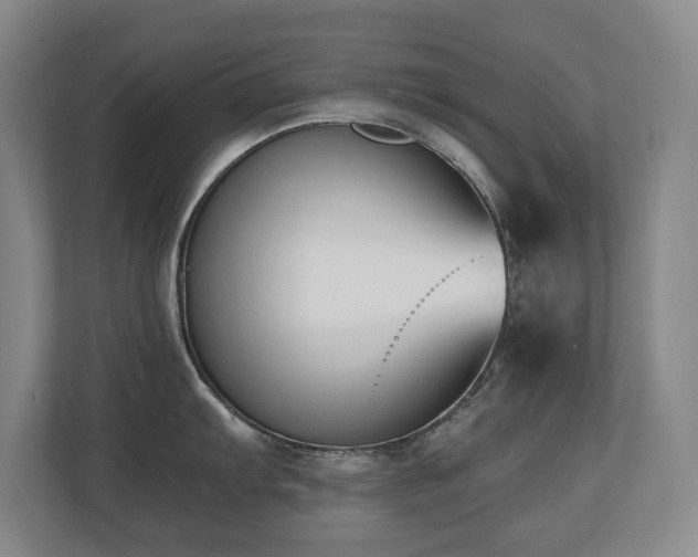 X0000110691103200906121221