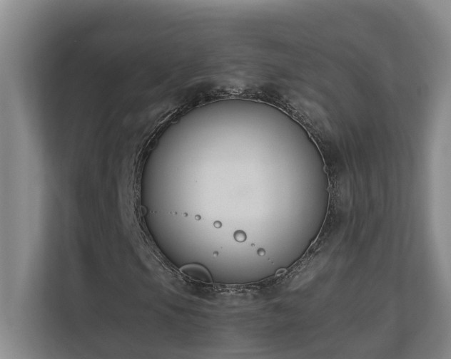 X0000110691105200906121220