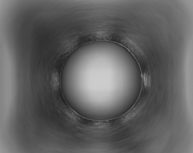 X0000110691107200906121220