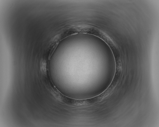 X0000110691108200906121220