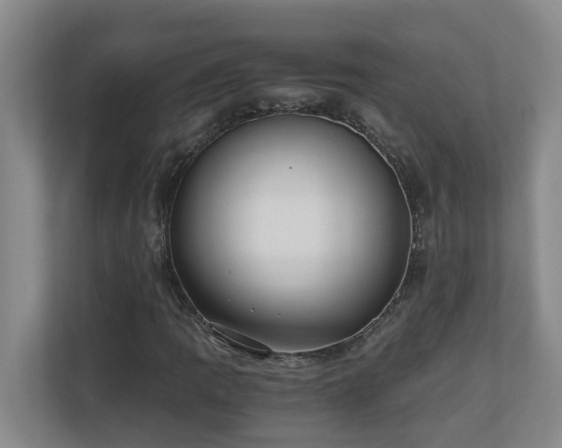 X0000110691109200906121220