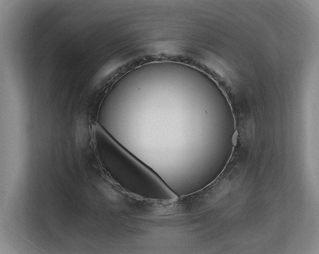 X0000110691112200906121220