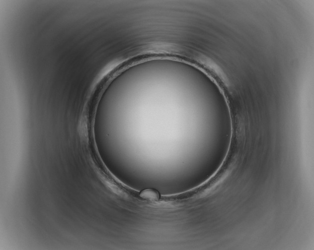 X0000110691114200906121220