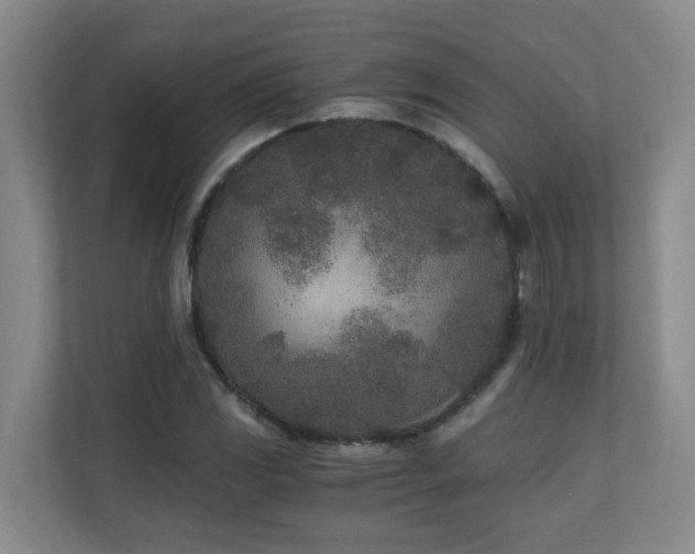 X0000110691117200906121220