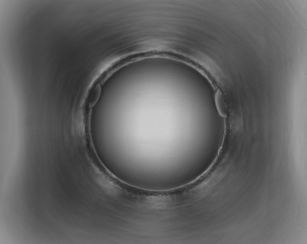 X0000110691118200906121220