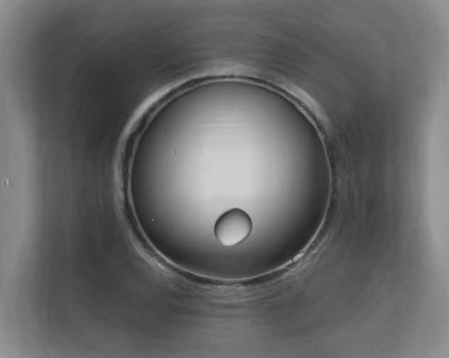 X0000110691120200906121220