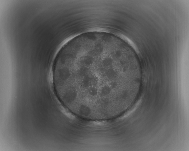 X0000110691125200906121220