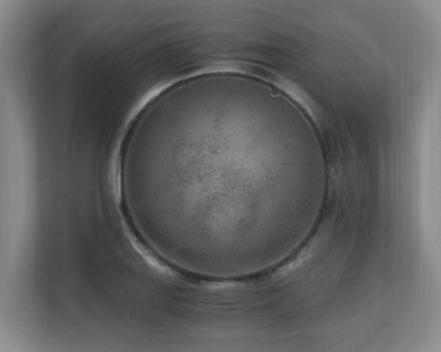 X0000110691127200906121220