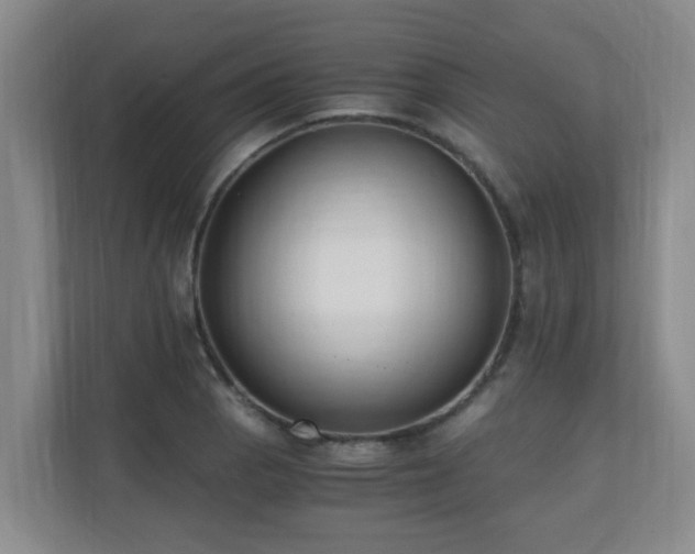 X0000110691129200906121220