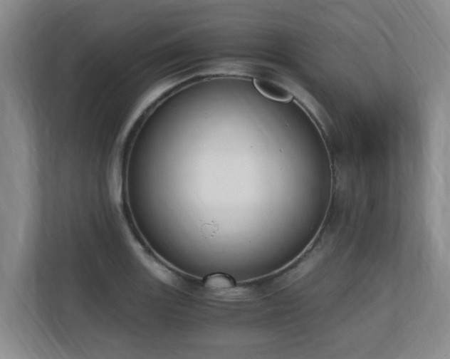 X0000110691131200906121220