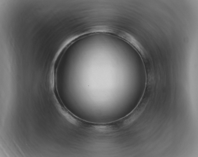 X0000110691132200906121221