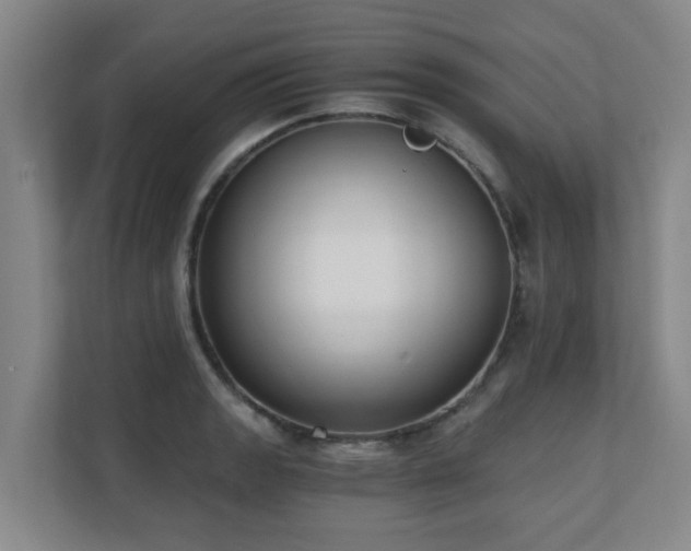 X0000110691133200906121221