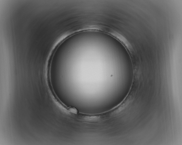 X0000110691135200906121221