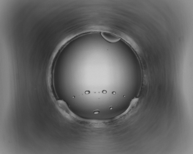 X0000110691136200906121221