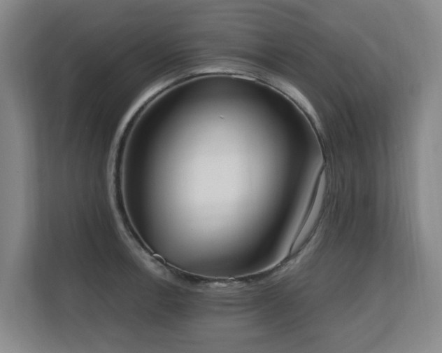 X0000110691138200906121221