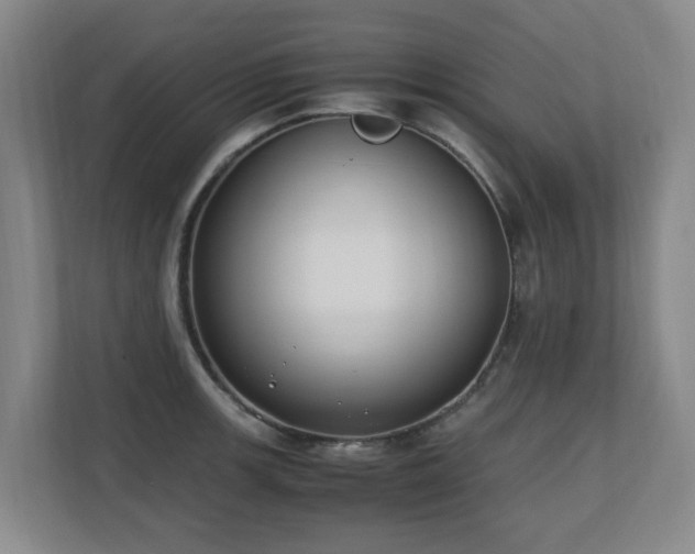 X0000110691139200906121221