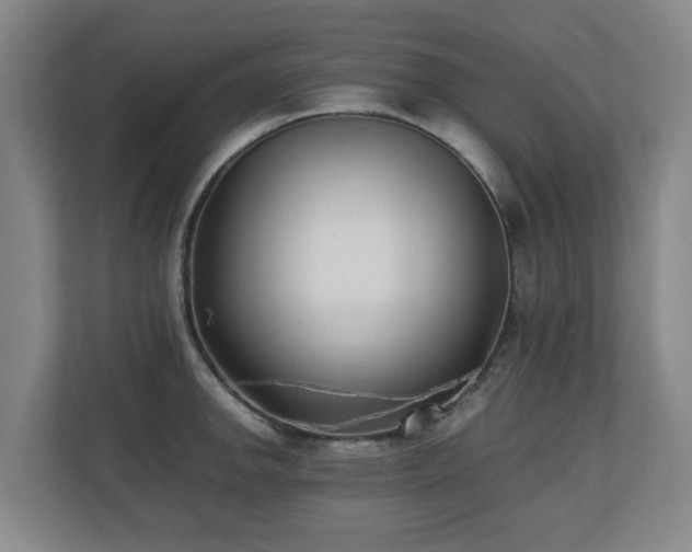 X0000110691142200906121221