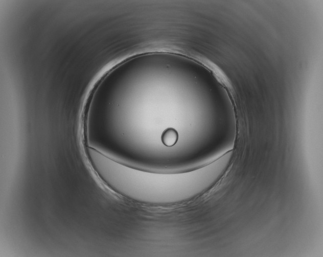 X0000110691144200906121221