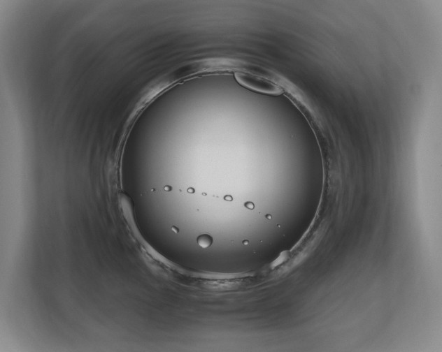 X0000110691145200906121221