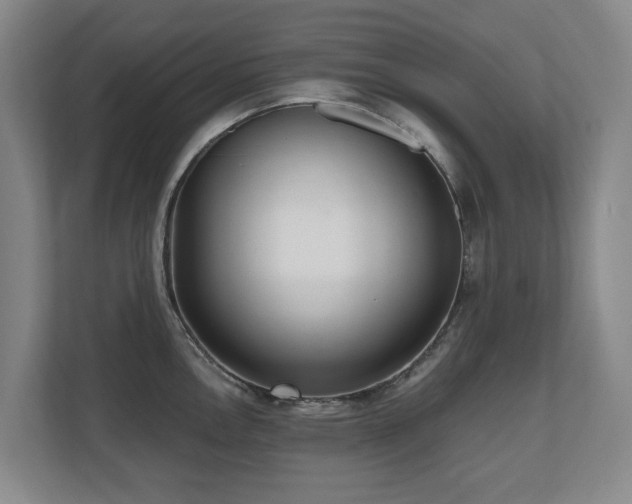 X0000110691146200906121221