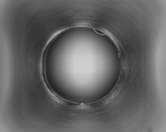 X0000110691147200906121221