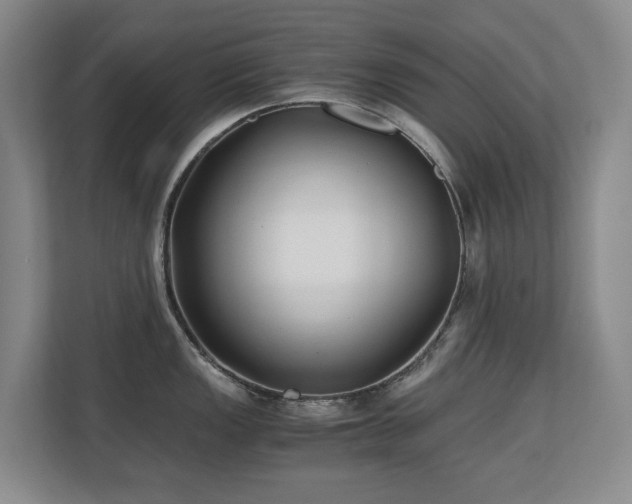 X0000110691149200906121221