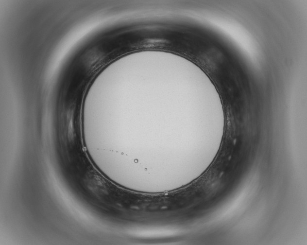 X0000110691150200906121221