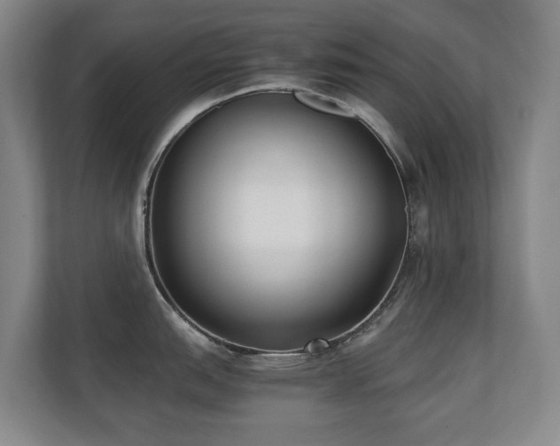 X0000110691151200906121221