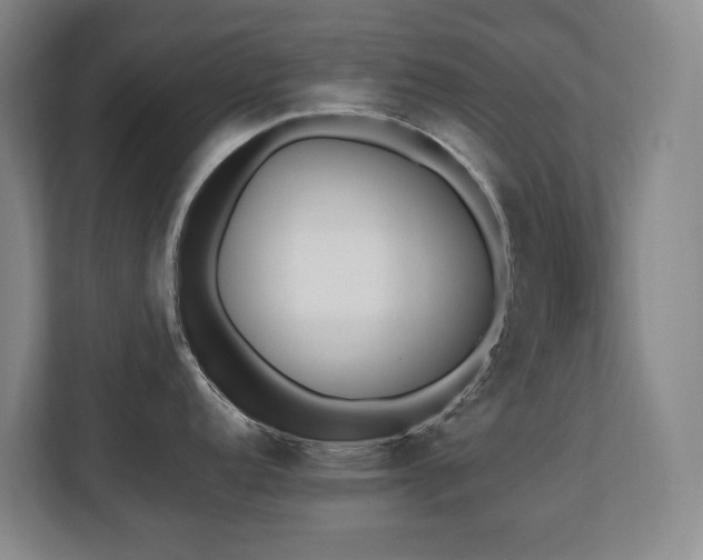 X0000110691152200906121221