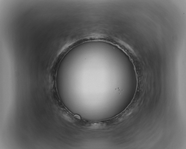 X0000110691160200906121220