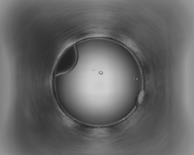 X0000110691181200906121220