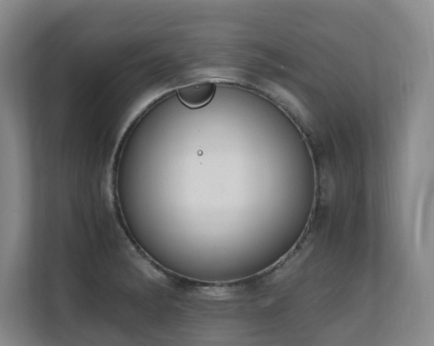 X0000110691182200906121220