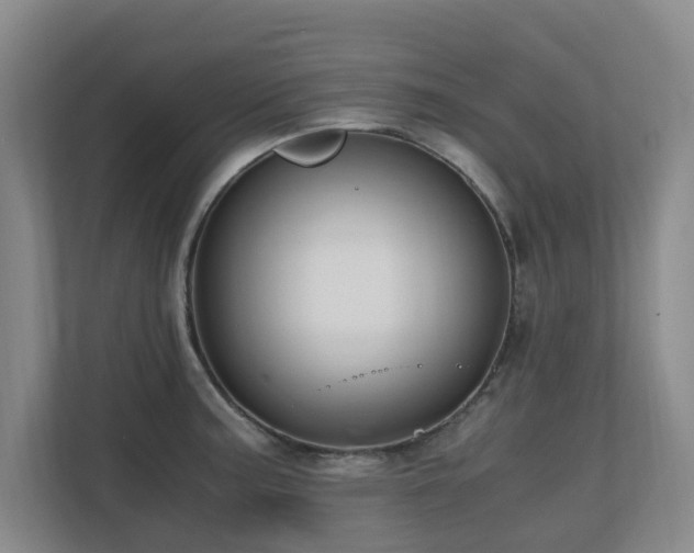 X0000110691187200906121220