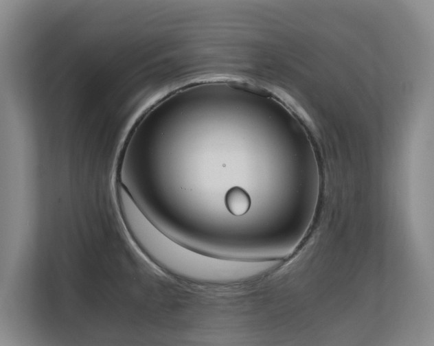 X0000110691189200906121220