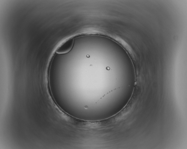 X0000110691191200906121220