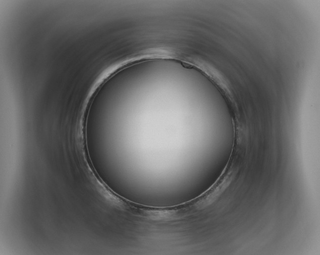 X0000110691192200906121220